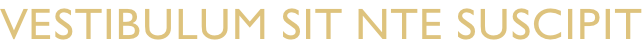 Vestibulum sit nte suscipit